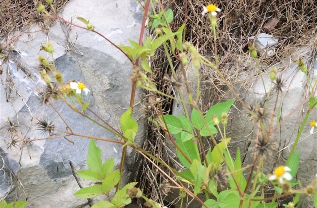 男人看了会迷上你的网名