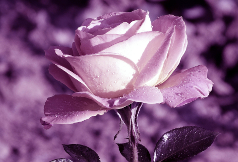 1683975023415041.png image.png