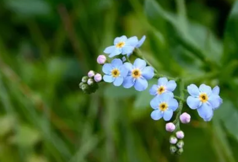 1683977008165672.png image.png