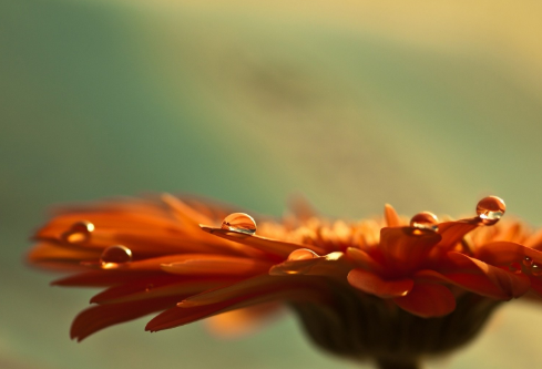 1683980483100931.png image.png