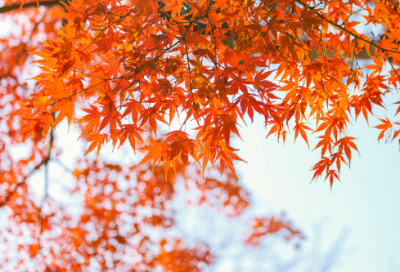 ​QQ男生专属网名精选223个