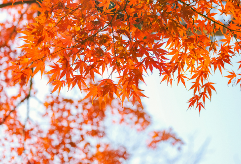 1683983297659332.png image.png