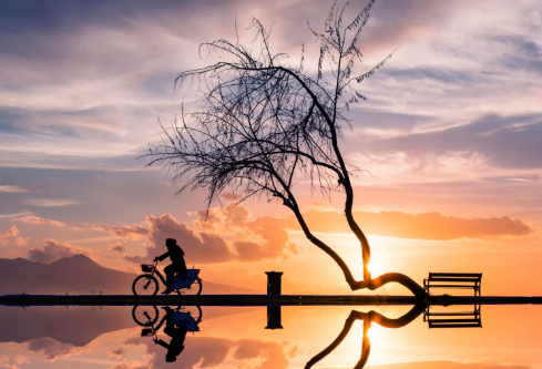 1683989254128062.png image.png