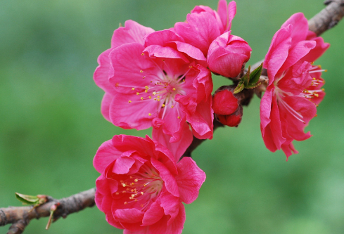 1683990744855686.png image.png