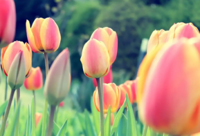 ​30岁成熟男人微信网名229个