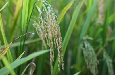 ​女生喜欢的男生网名(共206个)