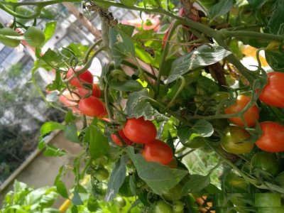 ​倒春寒是怎样形成的 倒春寒怎么预防