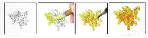 花蕊是花的哪个部位（科普关于花卉的结构知识）
