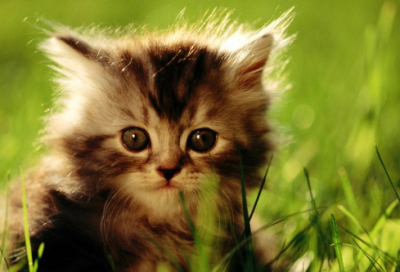 好吃的串串店名字大全洋气有创意990个