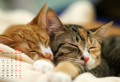 个人网店店铺名字(优选1330个)