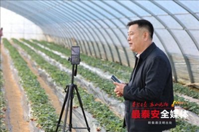 ​新春走基层丨小草莓甜了农家好日子