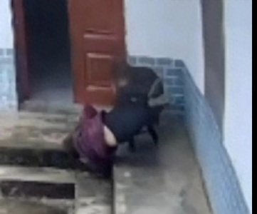 ​前有老虎，后有野猪，导致两位老人一伤一亡！该引起重视了！