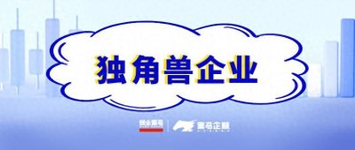 ​什么是独角兽企业
