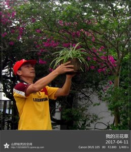 ​清高、高傲、高尚：独树一帜、与众不同的西域山野兰花