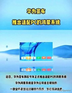 ​2025年2月19日 紧跟政策、民生、科技国际焦点，硬核解析实用看点