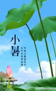 ​正值小暑，俗话：“小暑热得透，大暑凉嗖嗖”，2021年何时最热？