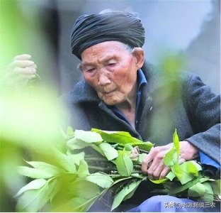 ​中国“长寿之王”133岁老人龚来发，一杆烟枪行一生，终生未娶