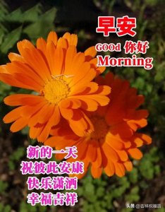​16张最新早安早上好精选图片，精选早安图片，满载漂亮祝福