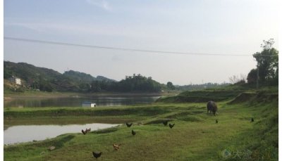 ​重庆夏季10大钓鱼圣地 周末悠闲耍一天