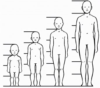 ​超全教程！新手一定要看的人像绘制（从结构线稿入手）