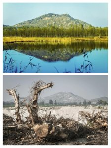 ​家乡好之四《大沙河30年的变迁》