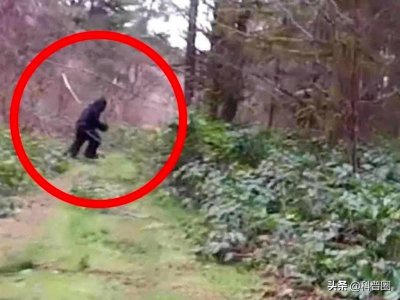 ​神农架深处：为什么会被列为禁区？有一个神秘现象，至今难以解释