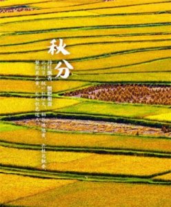 ​老师对孩子表达爱的话语（爱老公爱孩子的话语）