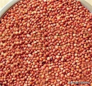 ​高粱酒怎么调好喝(高粱酒怎么喝)