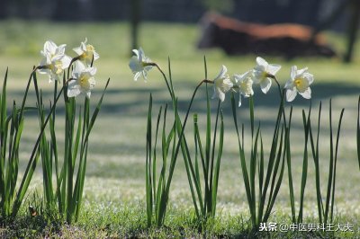 ​通过戒色，身体肾虚真的可以恢复好吗？