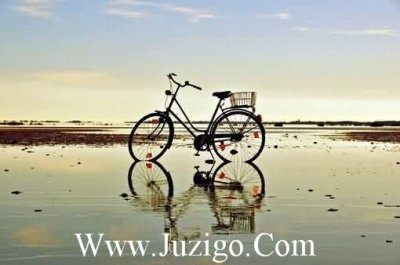 ​幸福的爱情句子92句