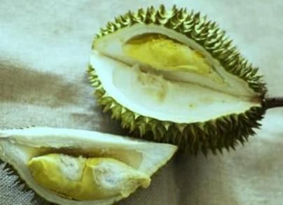 榴莲的核能吃吗,榴莲籽能吃吗,榴莲籽怎么吃?图1