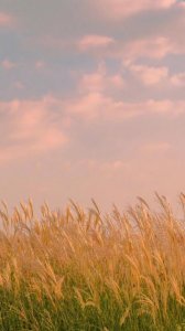 ​520表白情话古风