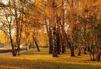 ​最打动人心的爱情图片,爱你图片带字图片大全【总共28句】