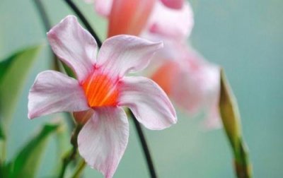 ​爱情伤心的句子集绵