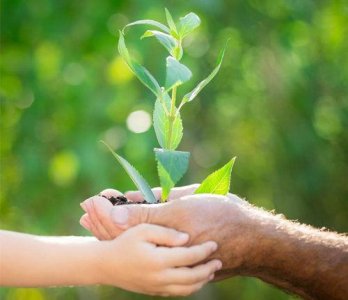 ​爱情优美句子49条