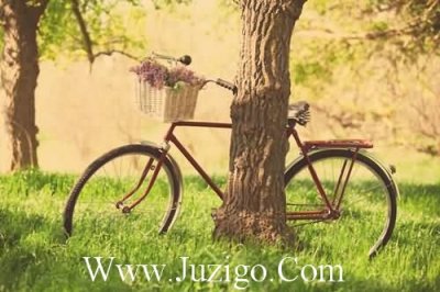 ​甜蜜爱情说说相濡以沫爱情唯美句子(34句)