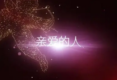 ​张爱玲语录经典语录关于爱情（张爱玲语录经典语录爱情语录）