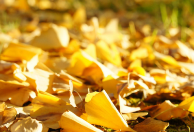 ​爱情的签名怎么写（适合恋爱的个性签名）