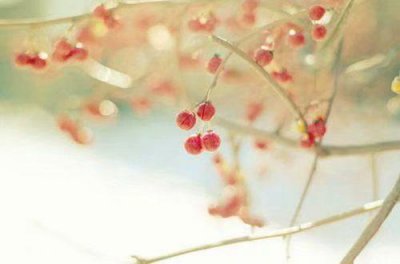 ​关于错过的爱情句子