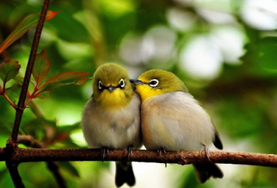 ​情话大全撩女朋友可复制文案（最感人的告白情话，纸短情长，撩翻女朋友！）