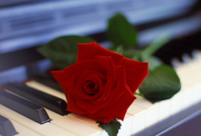 ​爱情说说心情短语(说说心情短语人生感悟)