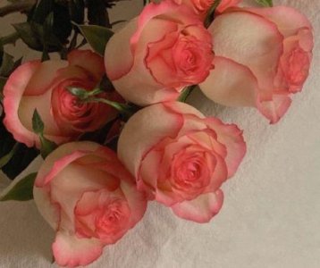 ​伤心爱情句子38条