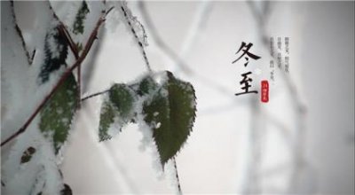 ​爱情语录经典短句唯美(世界上最优美的爱情短句)