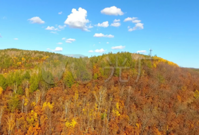 ​三生三世十里桃花经典台词（三生三世爱情唯美句子）