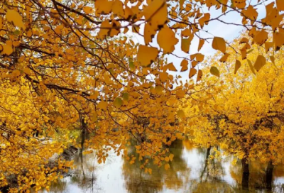 ​关于爱情的现代诗自创（很小众却很惊艳的现代诗）