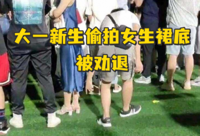 ​数码收纳整理包好评语182句