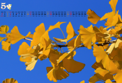 ​2023五一节日快乐祝福语精选 节日快乐祝福语(精选50句)
