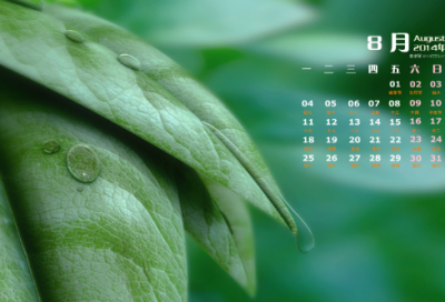​精选的温馨生日祝福语大全(精选55句)