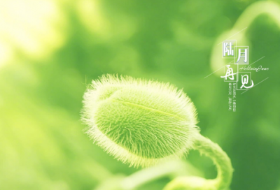 ​立春祝福语句简短唯美精选【汇总74句】