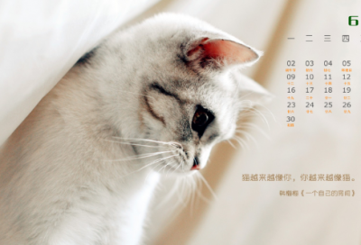 ​中秋节客户祝福语简短(精选55句)